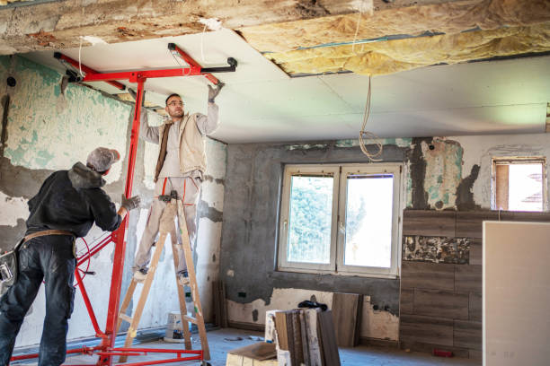 Best Wall Insulation Installation  in Johnston, IA